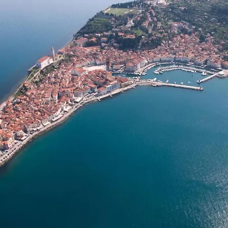 Unique Spacious With Terrace