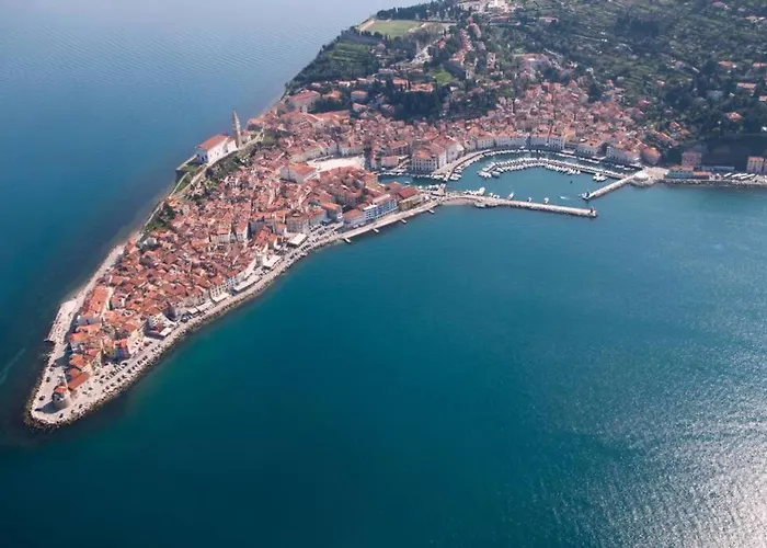 Unique Spacious With Terrace